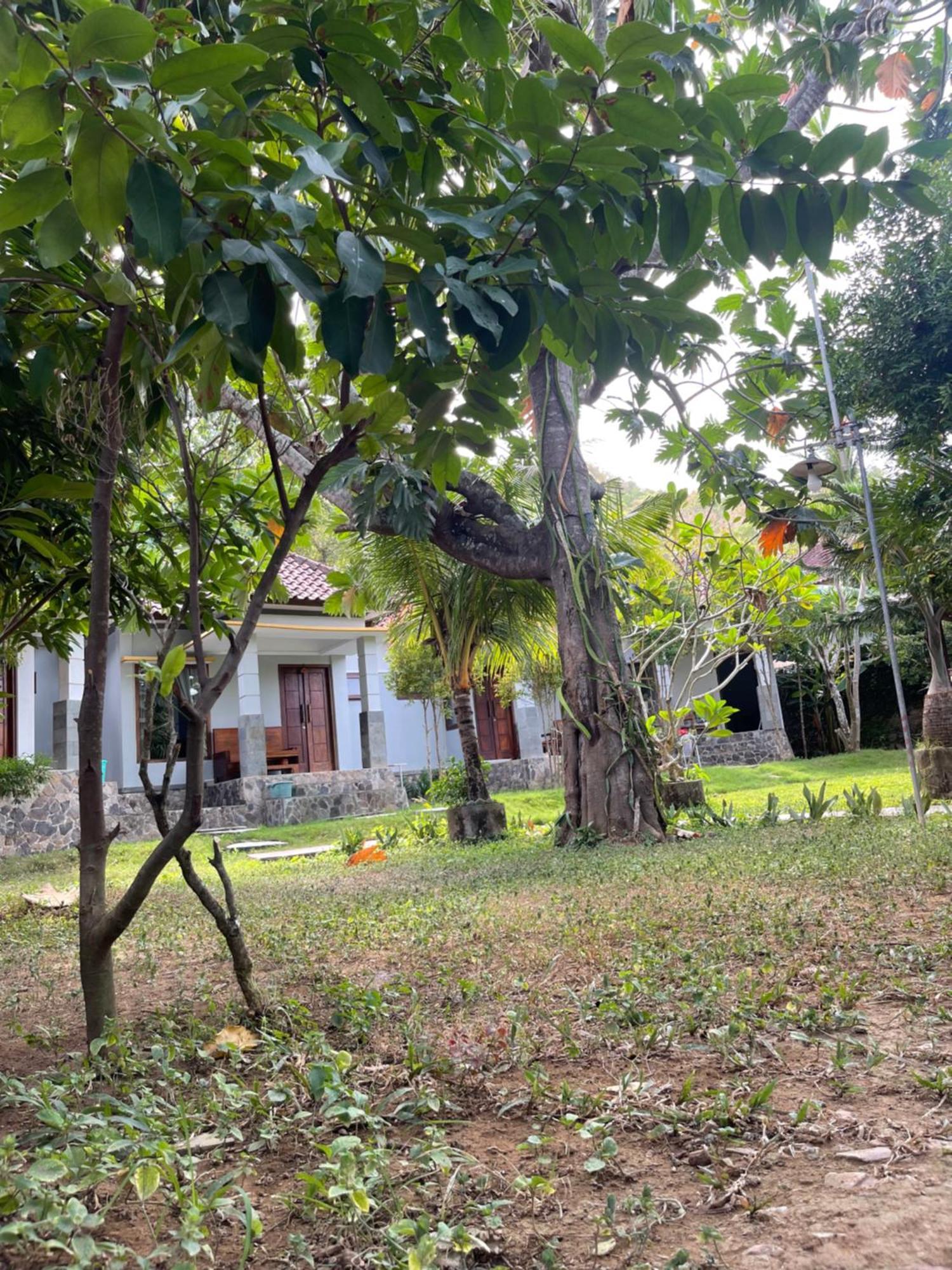 Tri Putri Homestay Kuta  Luaran gambar